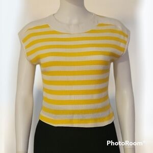 TRUE Vintage 1970s TOPSON DOWNS Striped Cropped Baddie Baby Tee